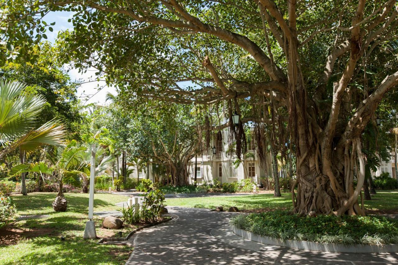 传承太妃高尔夫及健康度假村 贝尔欧布莱 外观 照片 The Banyan Tree at the University of the South Pacific